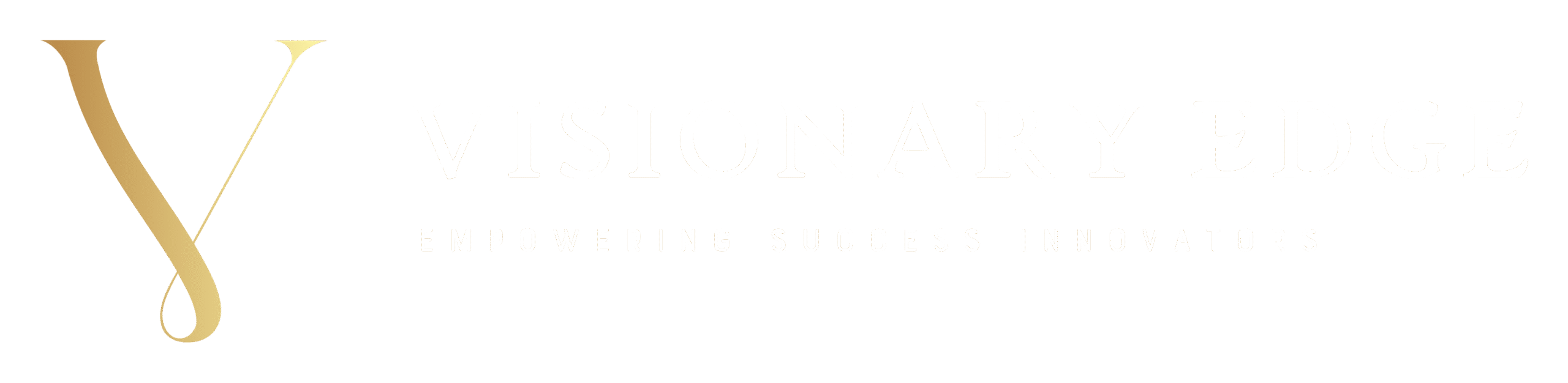 Visionary Edge Ventures logo